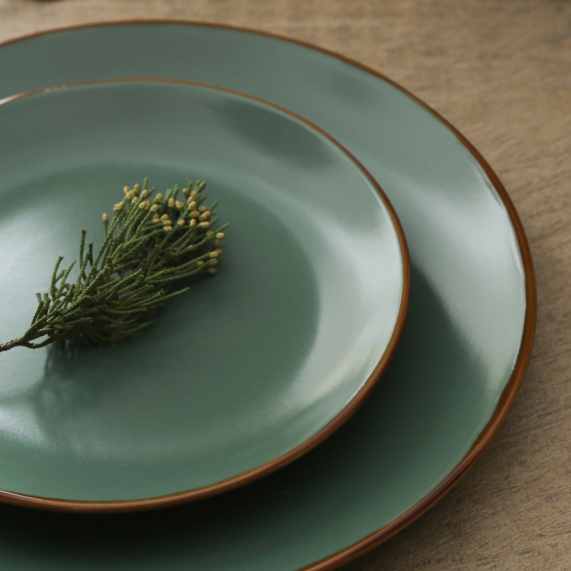 Dark green 2024 dinner plates